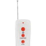 TOYO ELECTRIC TY-R-433 Pre-Owned Lighting Remote Control